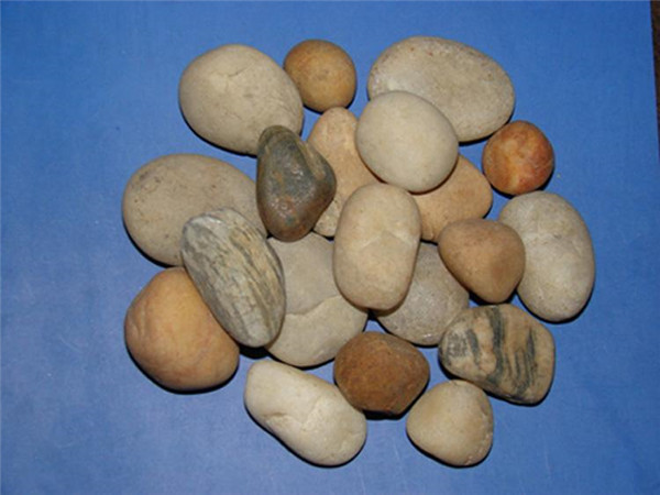 麻豆精品视频在线观看